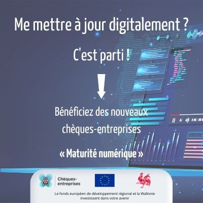 Chèques-entreprises maturité numérique